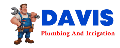 Trusted plumber in LEMHI